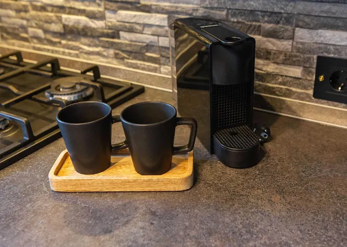 Rockstar Apartment Brașov